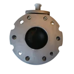 Przepustnica motylowa V2FS100GBN