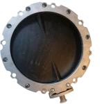 Przepustnica motylowa V2FS300GBN