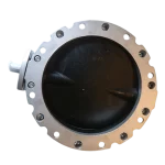 Przepustnica motylowa V1FS250GBN